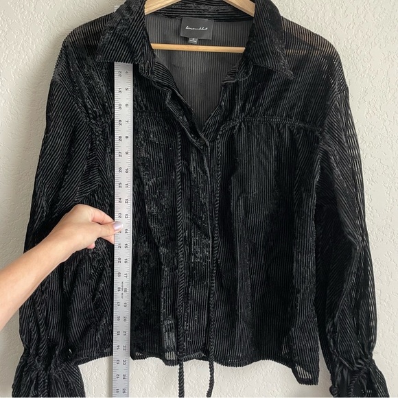 Line and Dot Blouse Womens Medium Michelle Velvet Striped Romantic Sheer Top - Picture 8 of 8